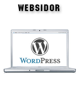 videoproduktion, fotografering och produktion av websidor främst med WordPress